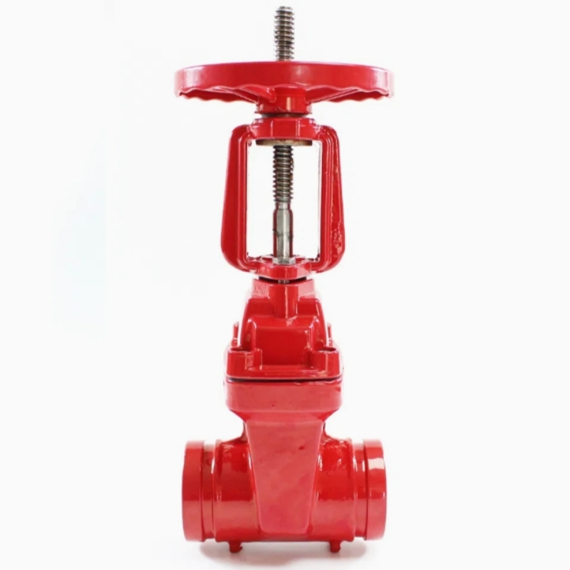 Rising Resilient Seated Gate Valve