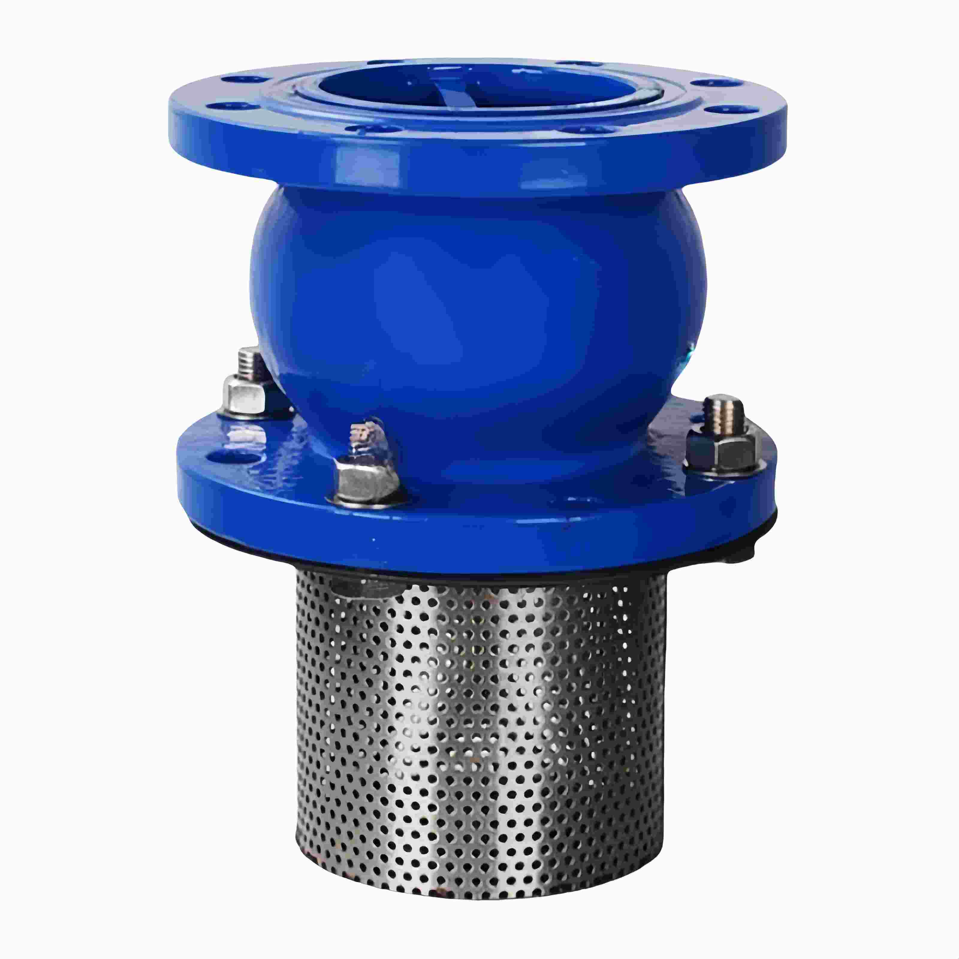 Flange Foot Valve