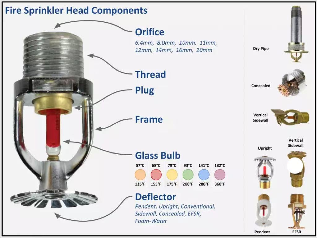 كيف تعمل المصابيح الزجاجية الحرارية: لماذا تُعتبر 